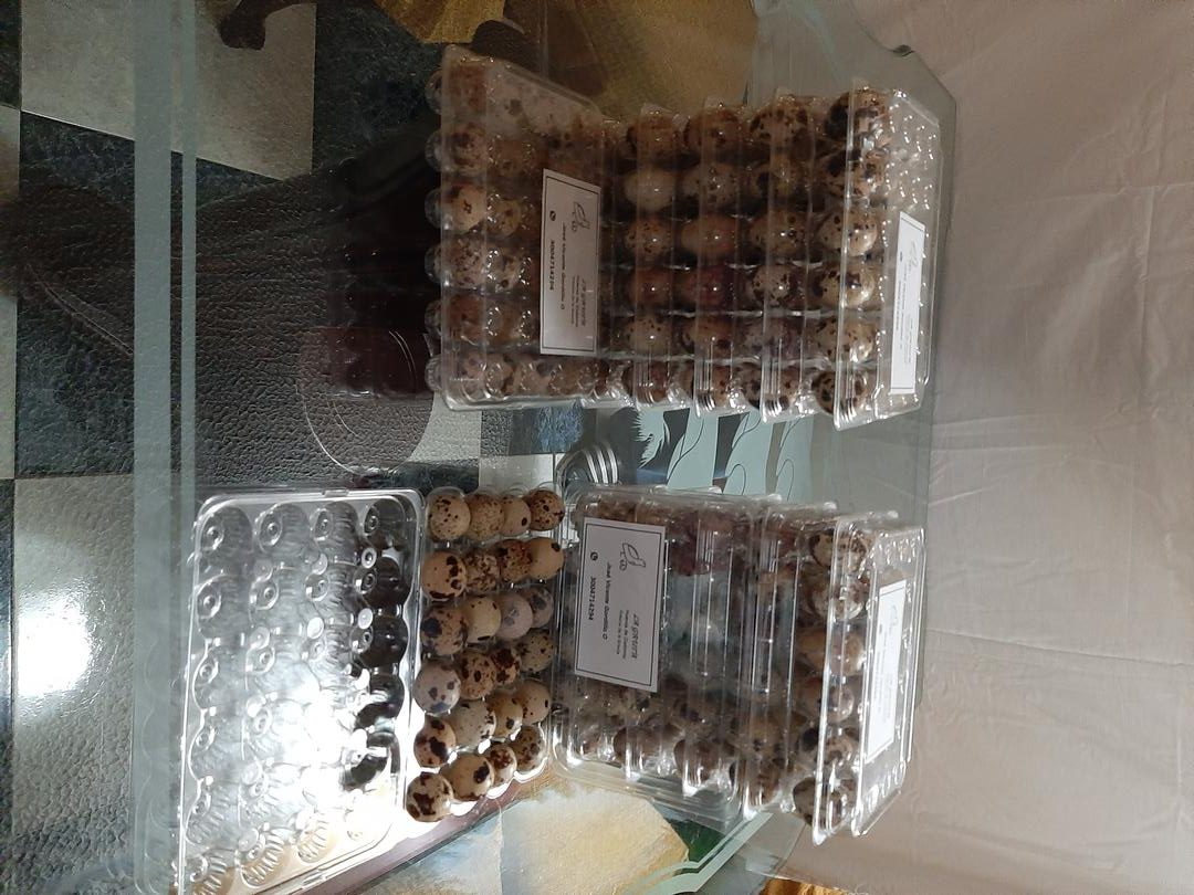 Huevos De Codorniz