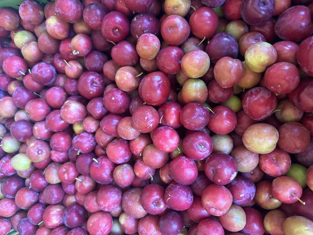 Ciruela