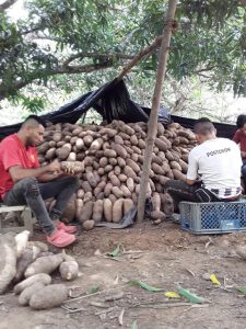 Name En Caja De 225 Kg