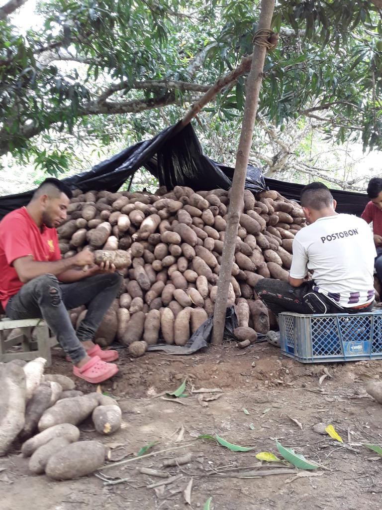 Name En Caja De 225 Kg