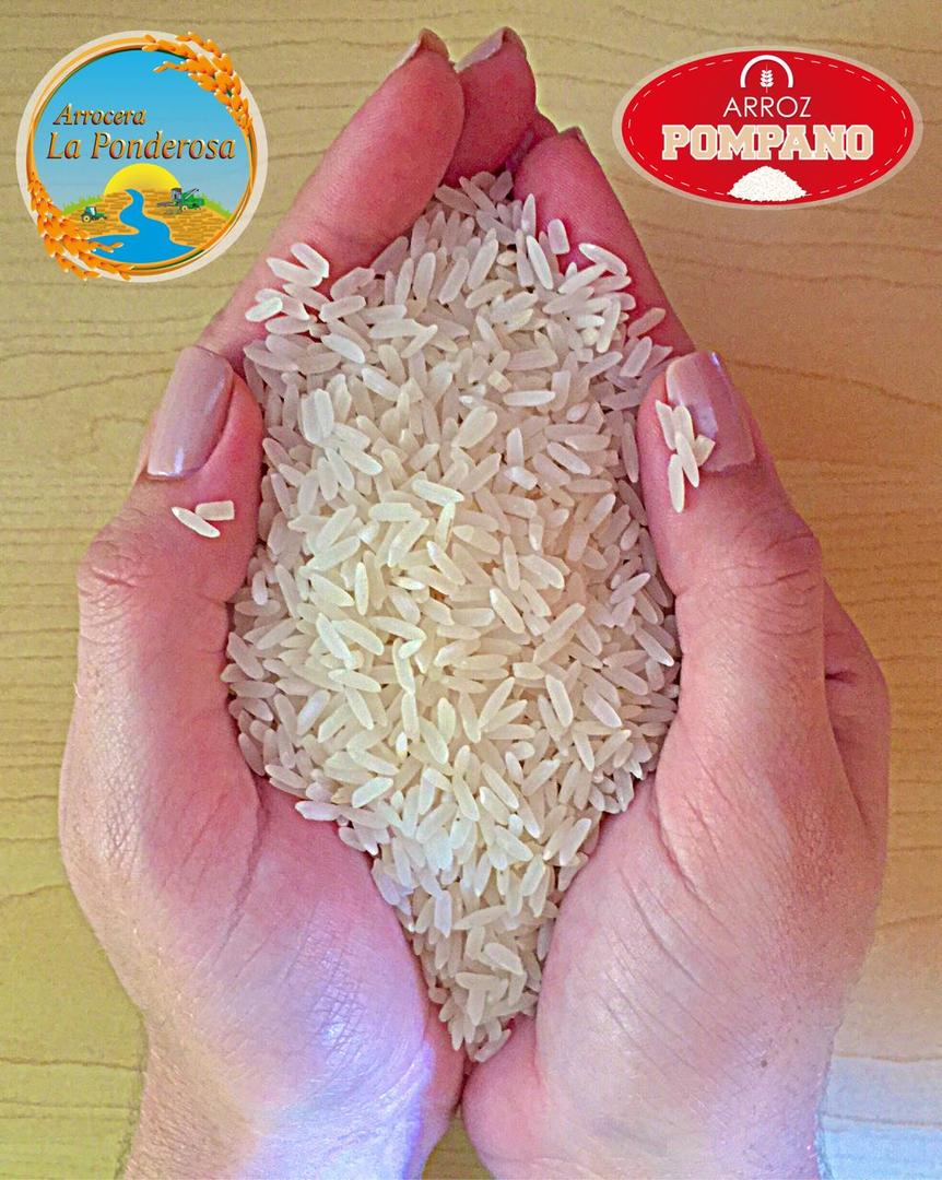 Arroz Blanco
