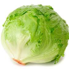 Lechuga