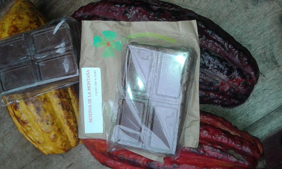 Cacao Organico