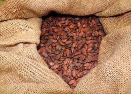 Cacao Corriente Seco