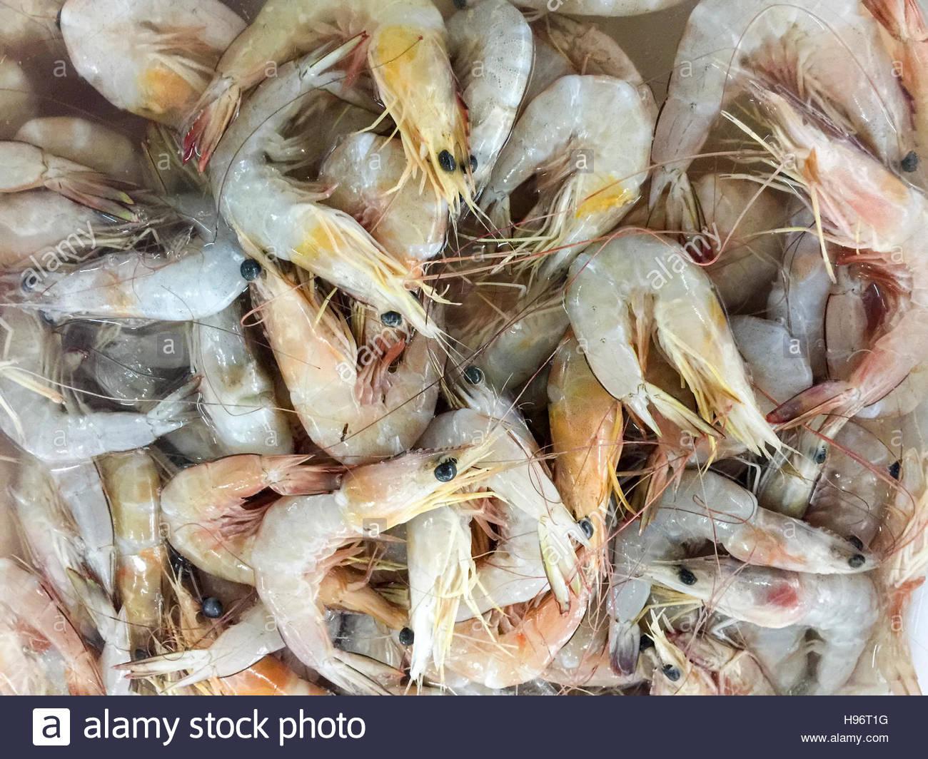 Langostino Cola