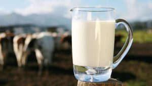 Leche De Calidad