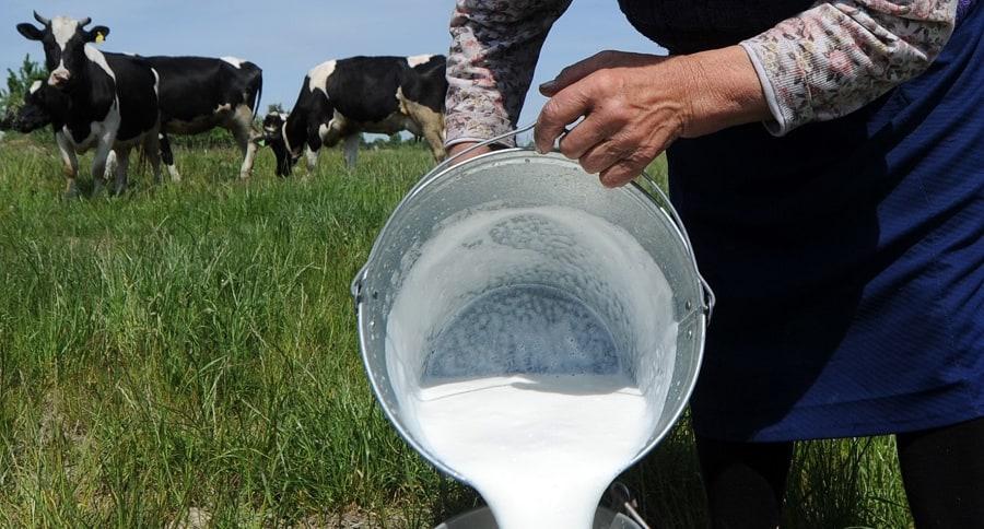 Leche Cruda Entera Refrigerada