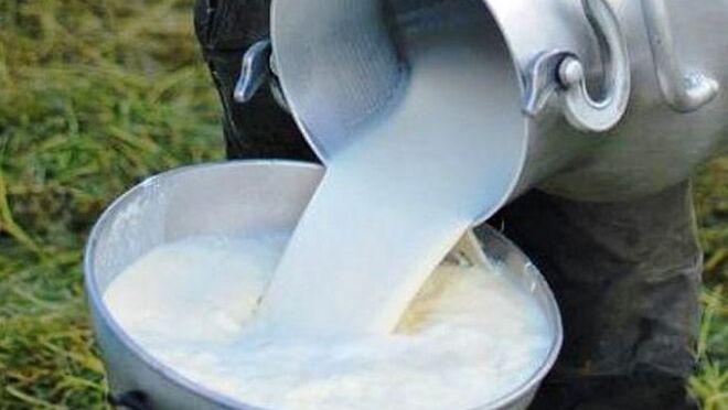 Leche Cruda