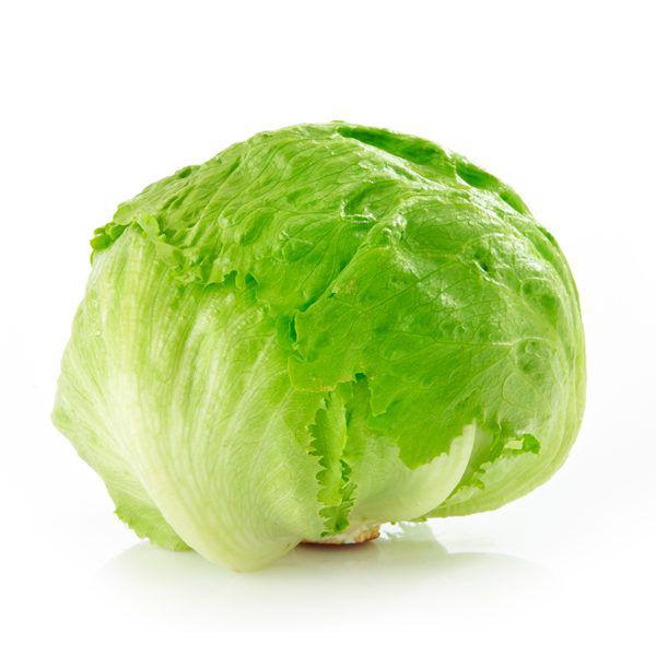 Lechuga Batavia Iceberg