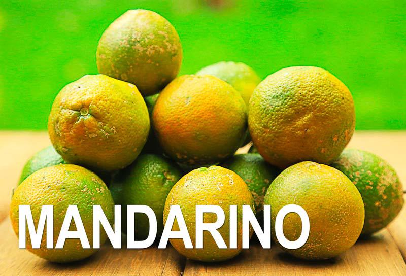 Limon Mandarino