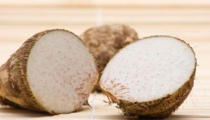 Malanga Colocasia Esculenta