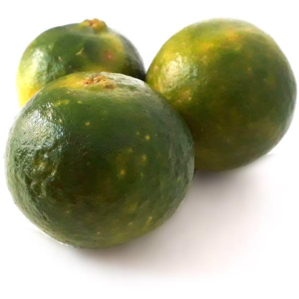 Mandarina Oneco