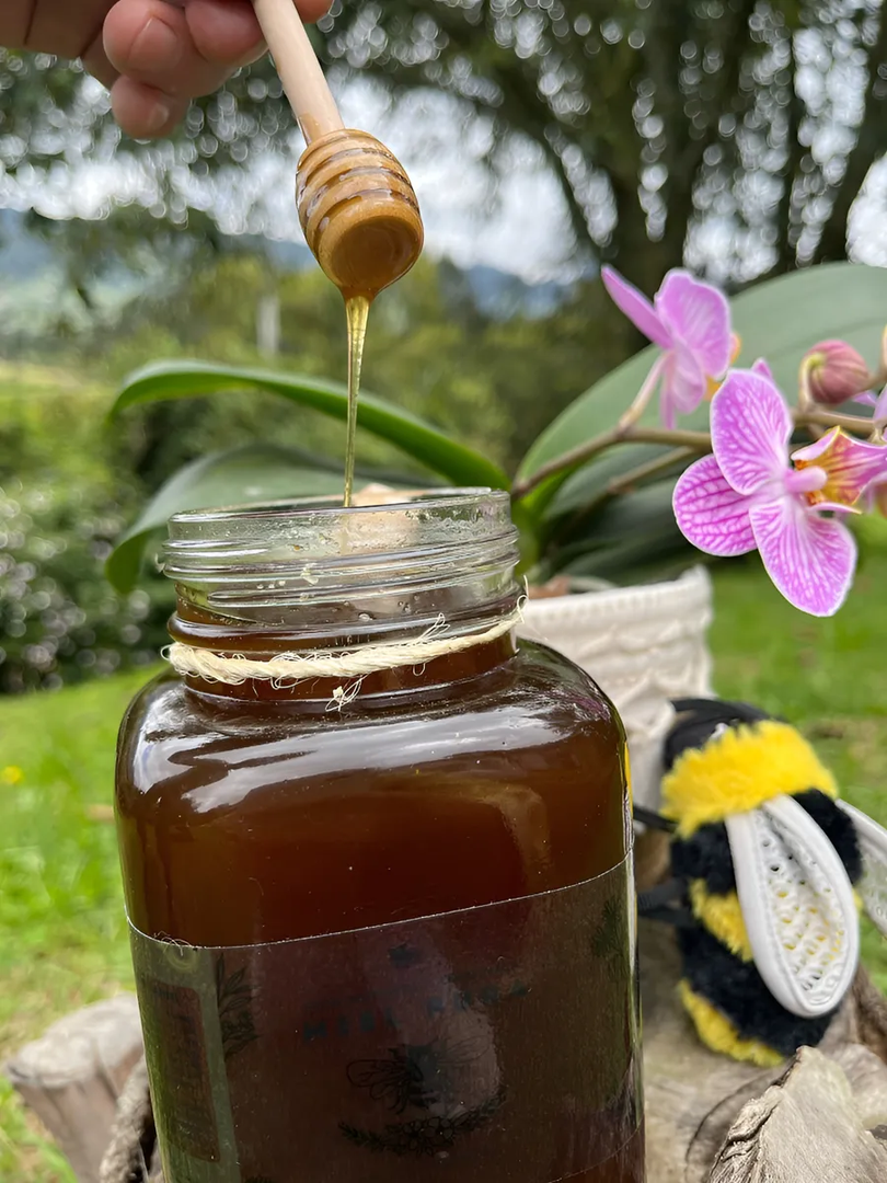 Miel Organica Cruda Y Pura 300G