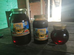 Miel De Abejas Pura