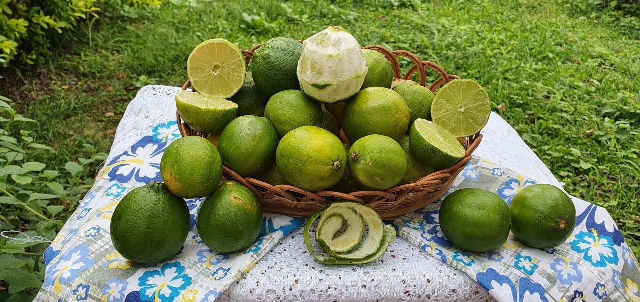 Naranja Tangelo