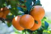 Naranja
