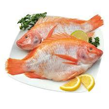 Mojarra Roja