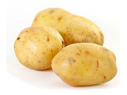 Papa Criolla