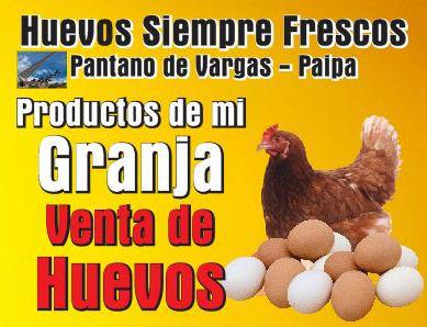 Huevos Frescos En Cubeta