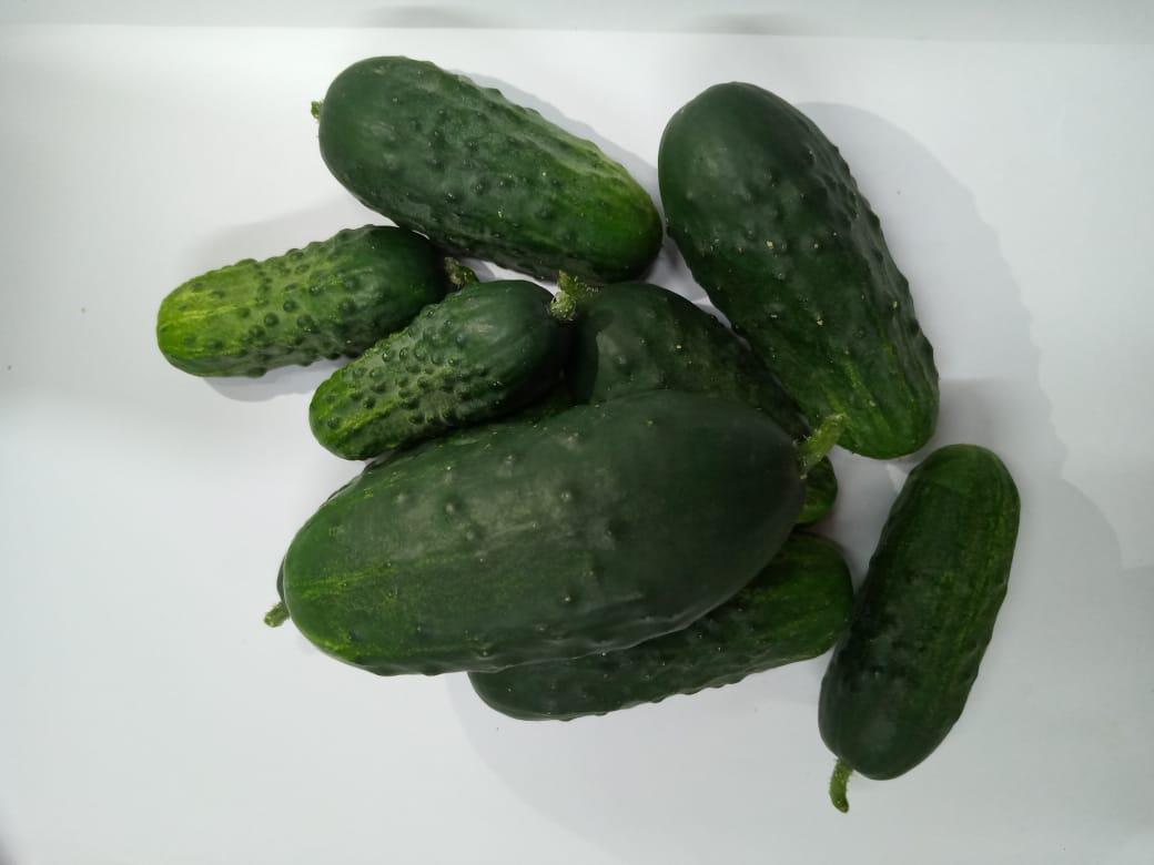 Pepinillos
