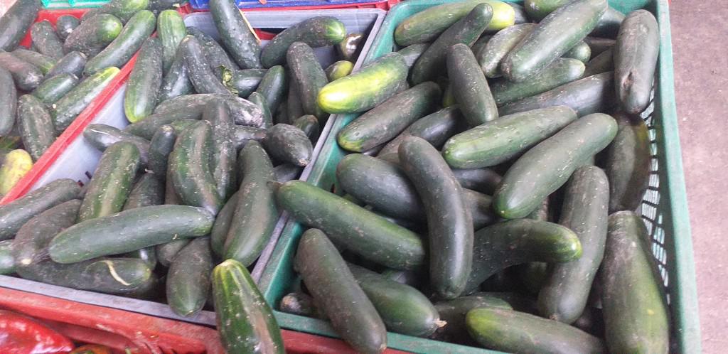 Pepino Cohombro Kilo