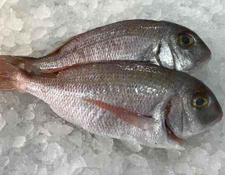 Pescado Corvina Langostinos