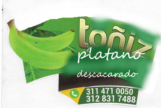 Toniz