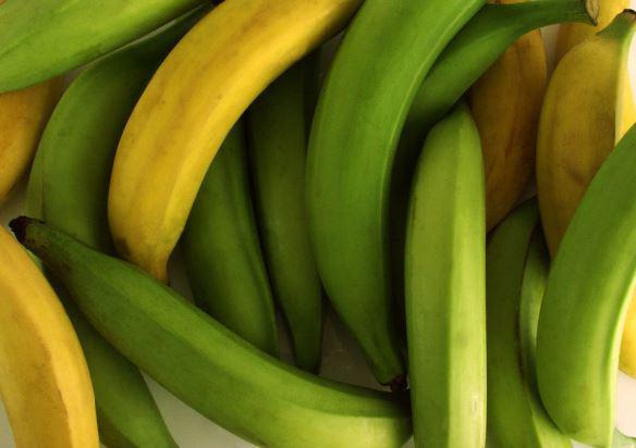 Delicioso Platano