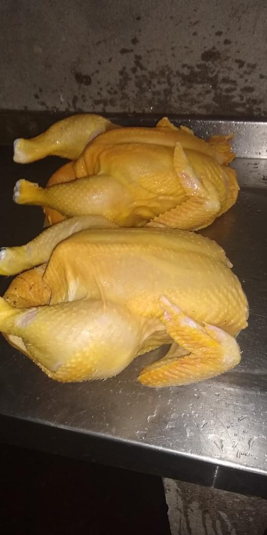 Pollo Semi Criollo Producido En Anolaima
