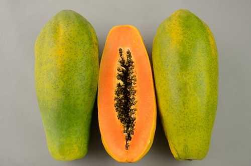 Papaya Tainung