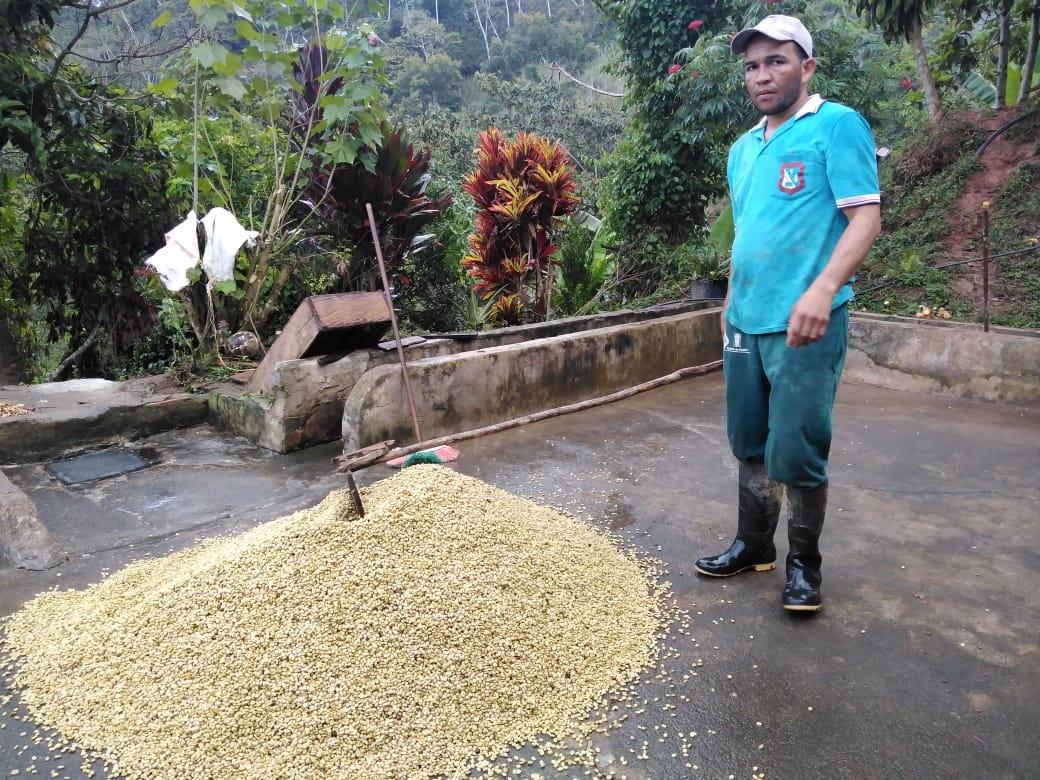 Cacao En Grano Pergamino
