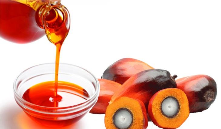 Aceite De Palma