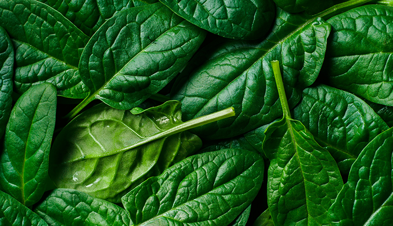 Espinaca