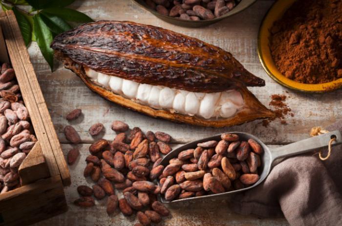Cacao