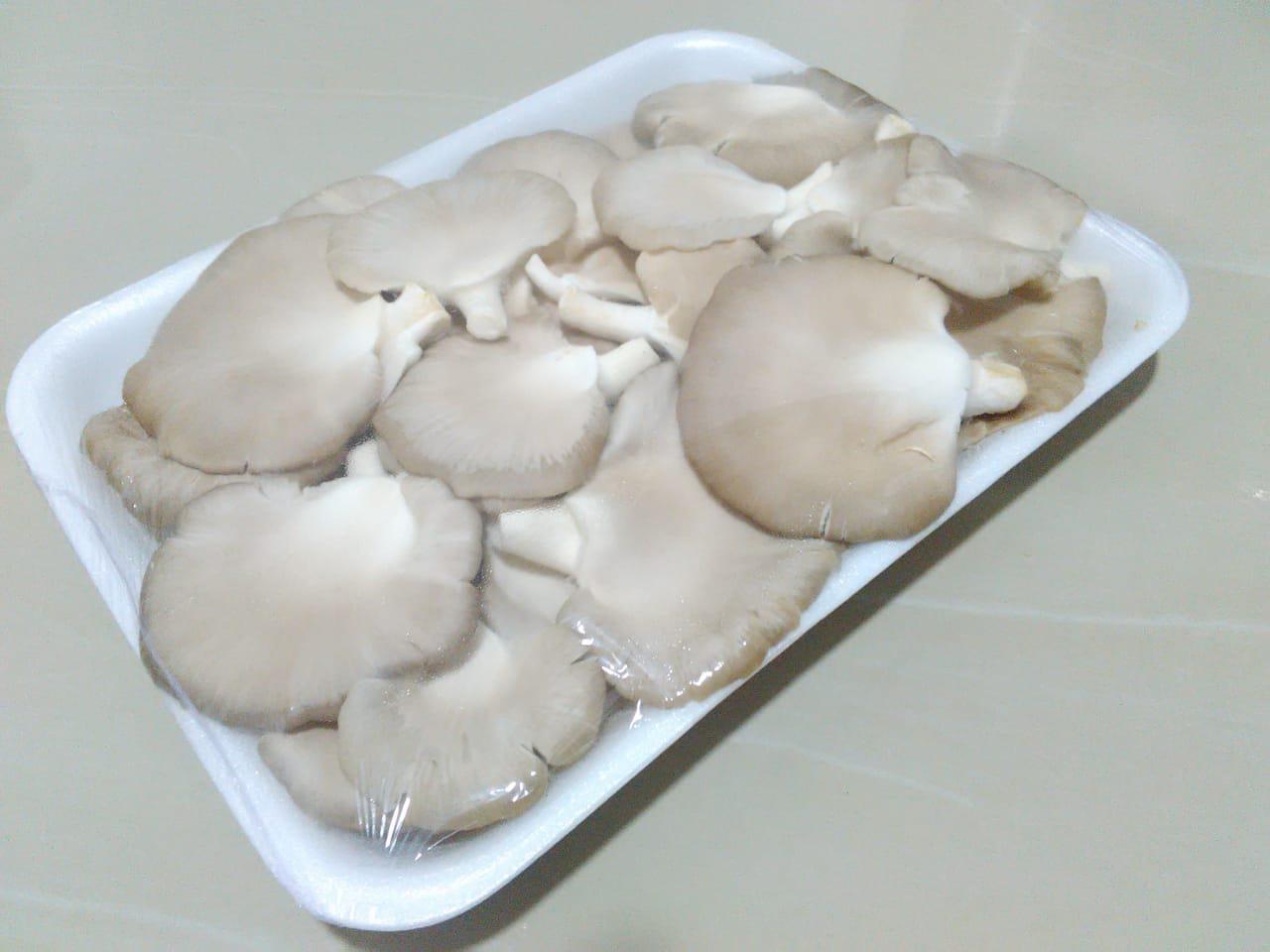 Orellana