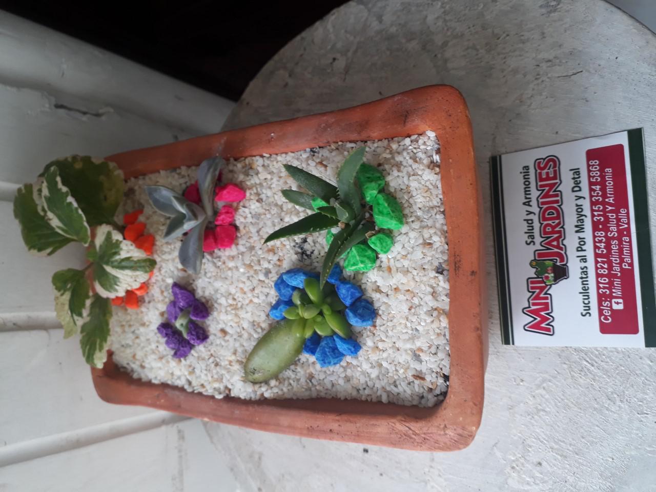 Mini Jardines Para Limpiar Las Energias Pesadas