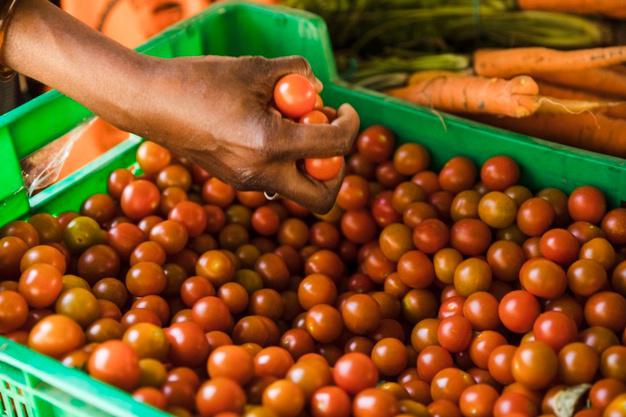 Tomate Cherry
