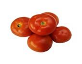 Tomate Chonto