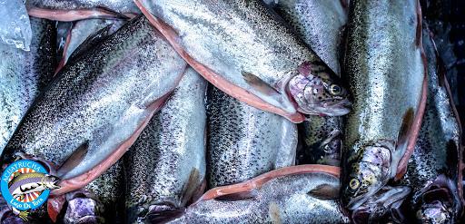 Trucha Arco Iris Fresca Sin Pigmentar