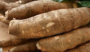 Yuca